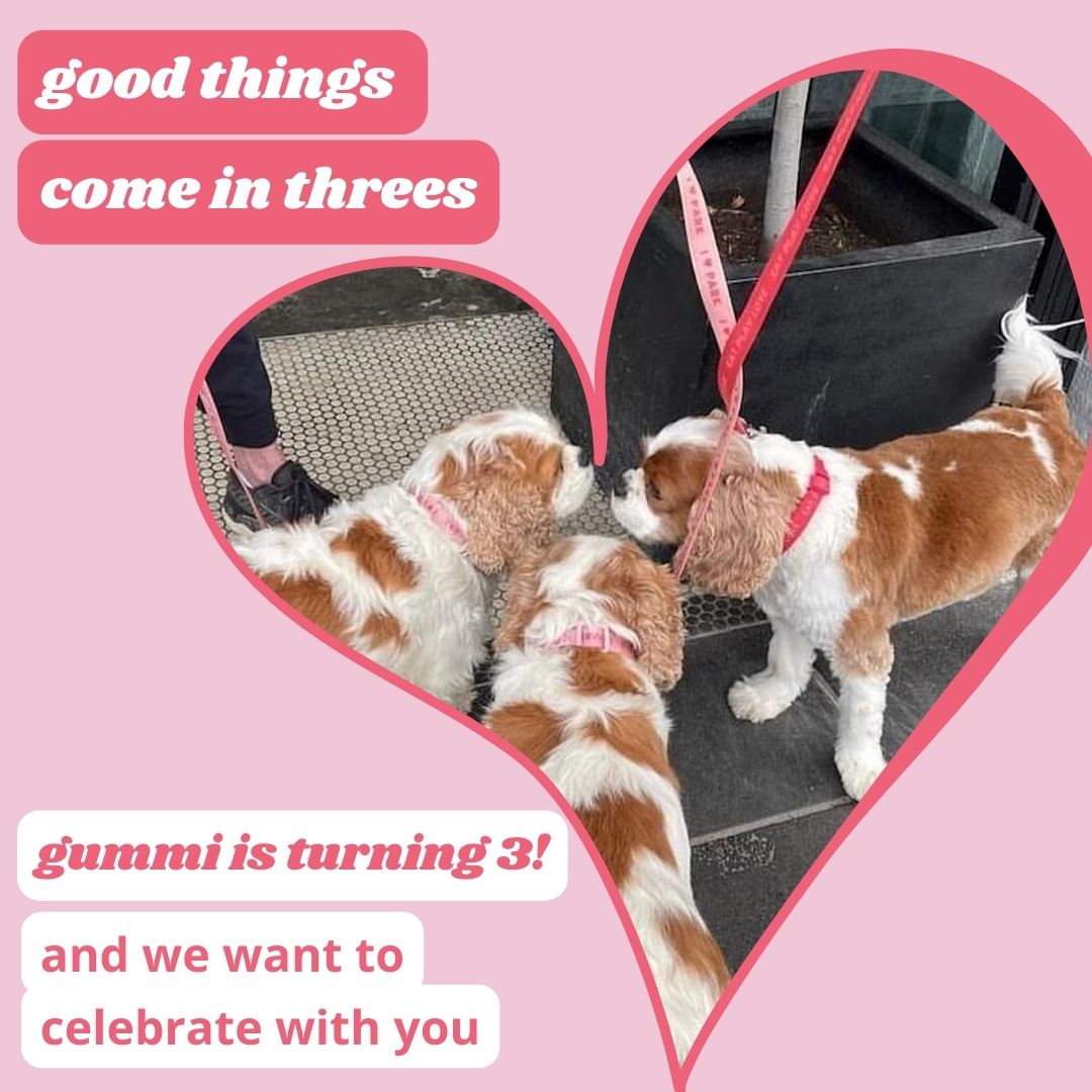 gummi's 3rd Birthday!