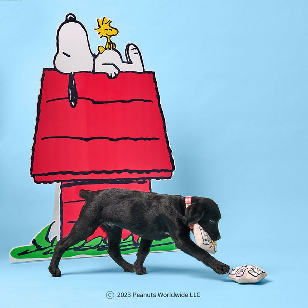 gummi x Peanuts Dog Toy - Snoopy Treats