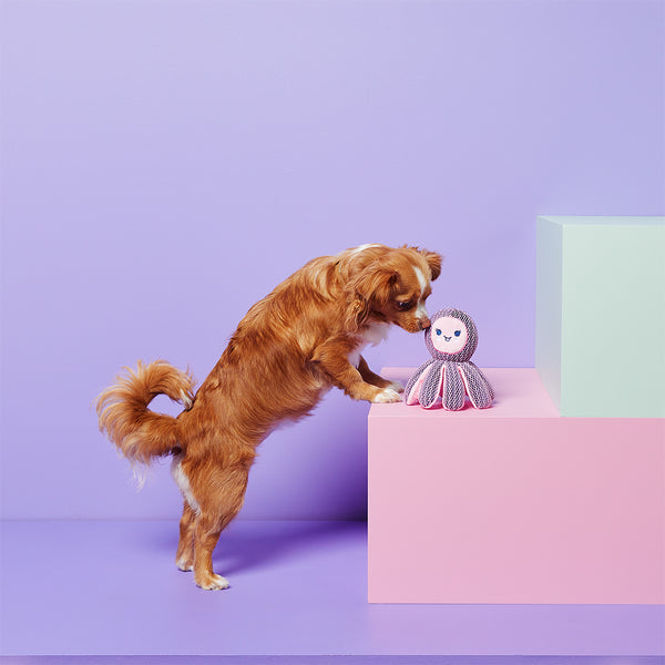 gummi pals Dog Toy Octopus - Pink