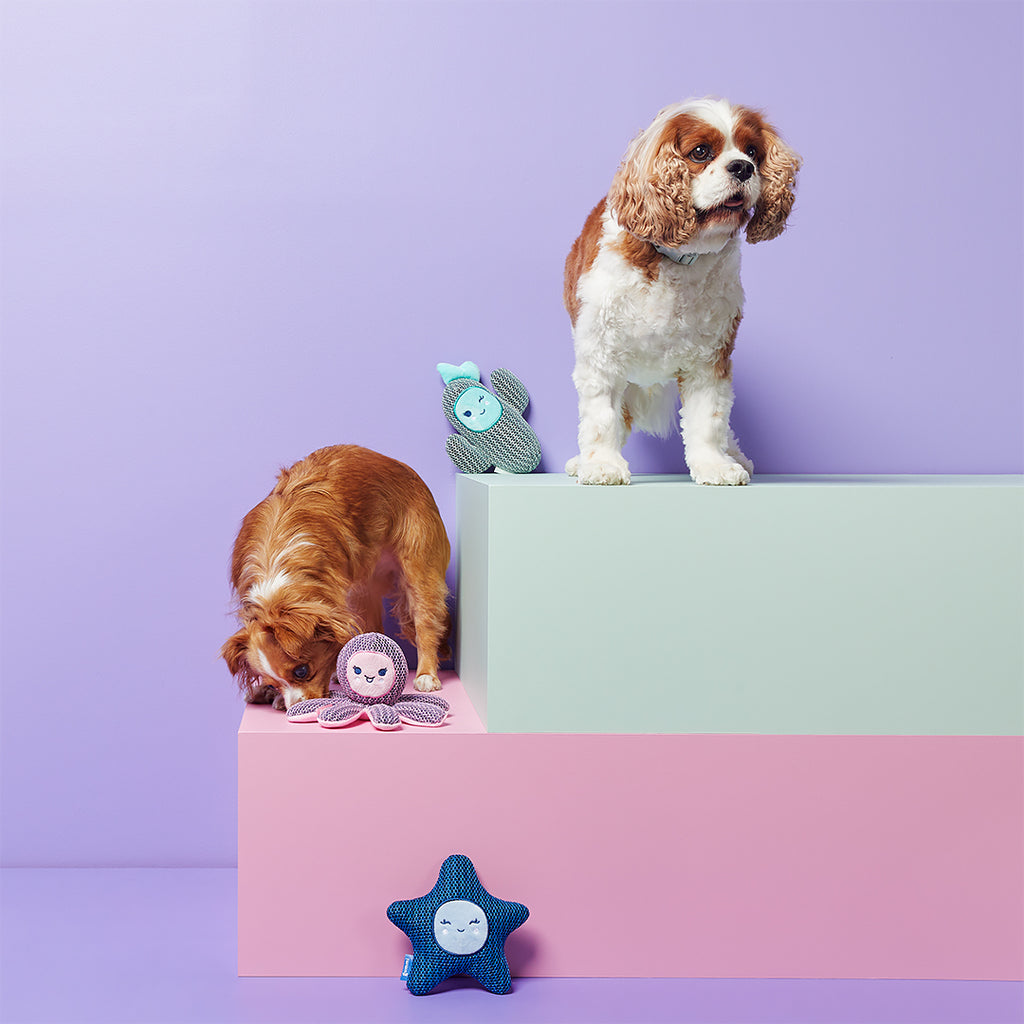 gummi pals Dog Toy Starfish Blue Gummi Pets