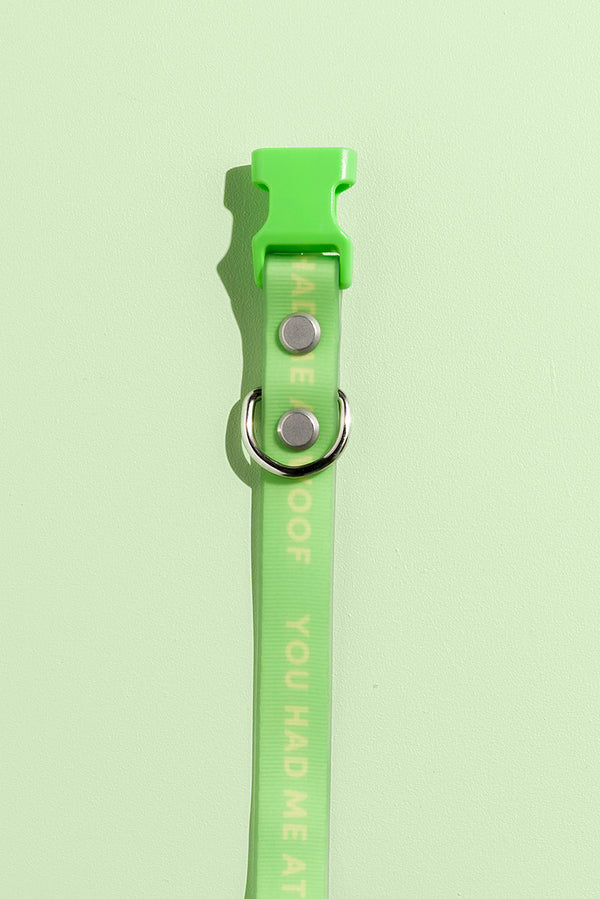 Slick Dog Collar - Green