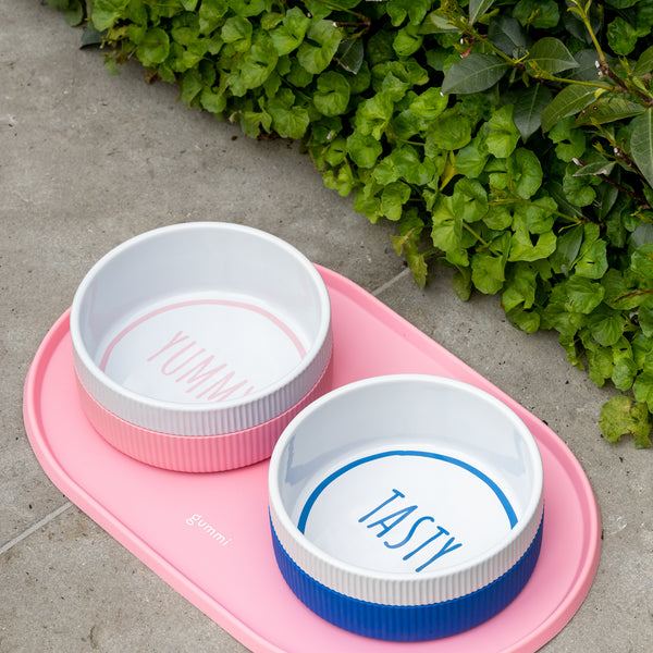 Ceramic Dog Bowl - Pink *New Design*