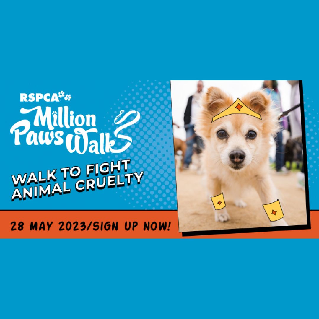 Million Paws Walk 2023