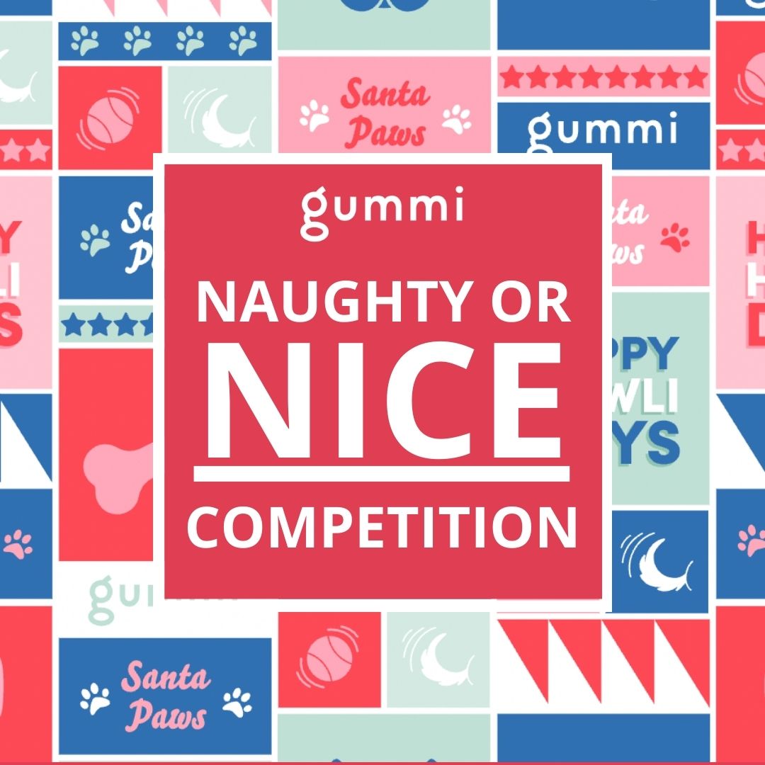 Naughty or Nice Competition