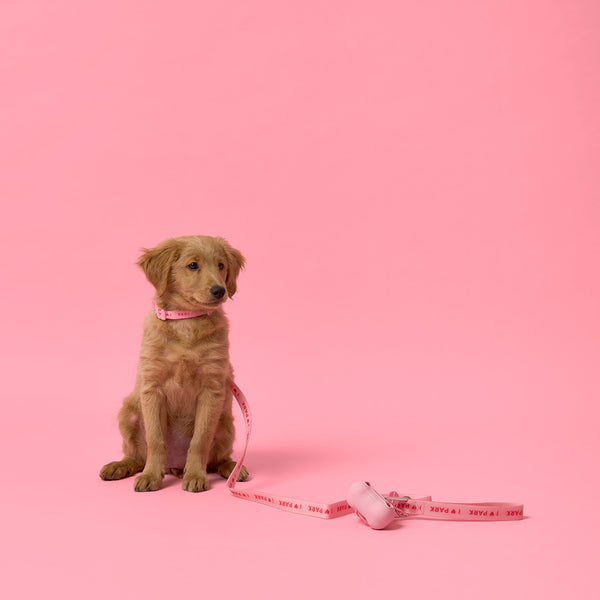 Slick Dog Lead - Pink
