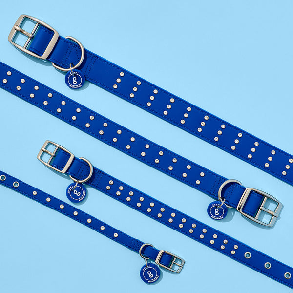 Bling Dog Collar - Blue