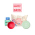Christmas Dog Gift Bundle - Large