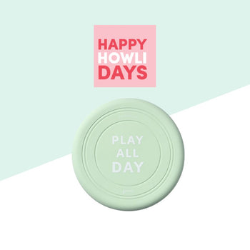 files/ChristmasBundles2023_FrisbeeMint_f2f09684-97e2-477f-936c-3045120fe7b8.jpg