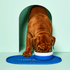 files/FETEBL_Lifestyle_2989513e-a391-4879-ad27-103de71ad940.png