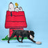 gummi x Peanuts Dog Toy - Snoopy Treats