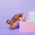 products/2022_10_06_Gummi_7941_1x1_019f9f51-7499-4a14-88ca-532537ccd05f.jpg
