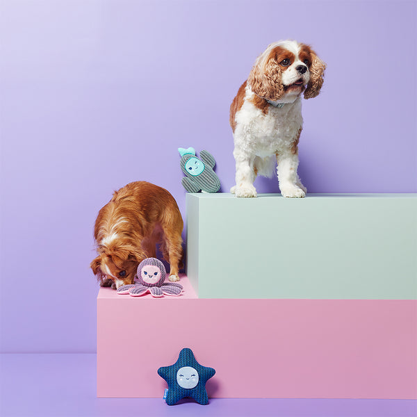 gummi pals Dog Toy Starfish - Blue