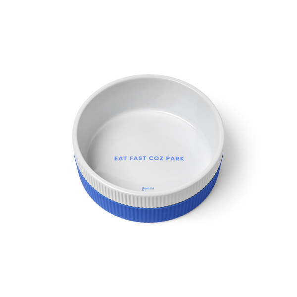 Ceramic Dog Bowl - Blue