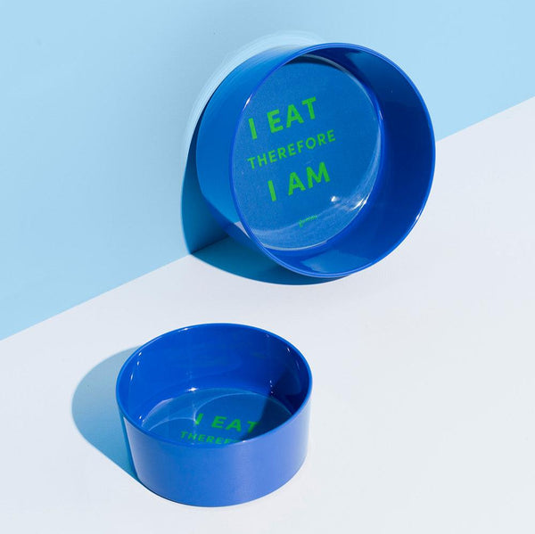 Melamine Dog Bowl - Blue
