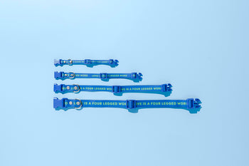products/COTEB01.jpg