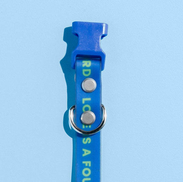 Slick Dog Collar - Blue