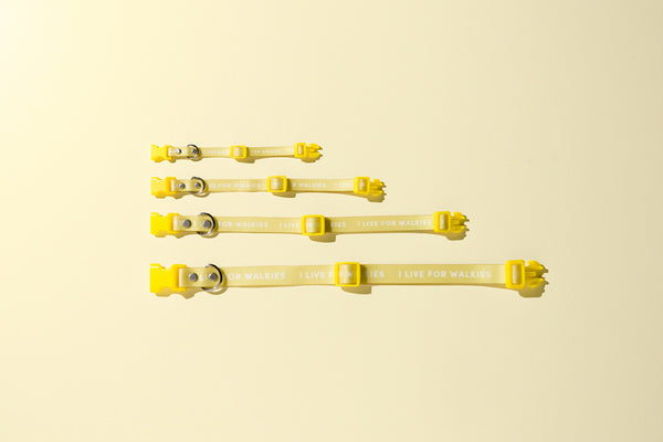 Slick Dog Collar - Yellow