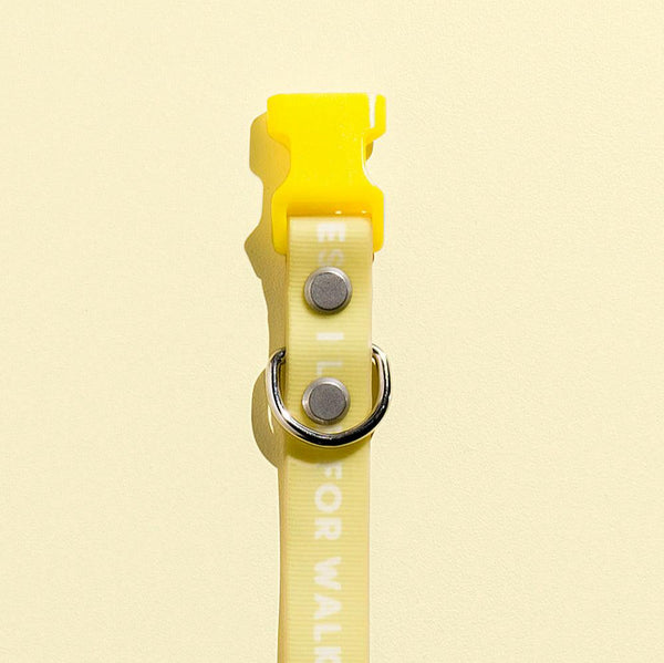 Slick Dog Collar - Yellow