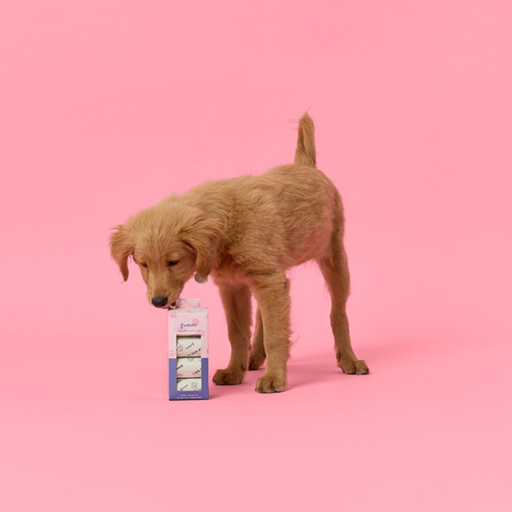 Dog Poo Bags - Mint