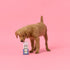 products/DogPooBagsSubscriptions_5_f2973347-3452-4a9a-9b2c-bf35608b55aa.jpg
