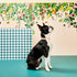 products/Gummi_Pets_080_print_V1.jpg