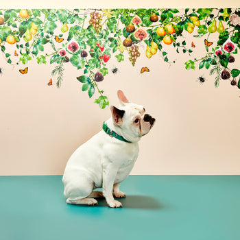 products/Gummi_Pets_377_print_V1.jpg