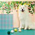 gummi x The Commons Dog Toy Tennis Balls Pack - Large
