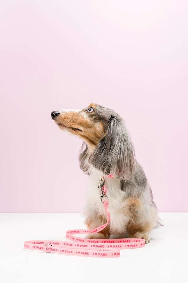 Slick Dog Lead - Pink