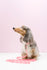 Slick Dog Lead - Pink
