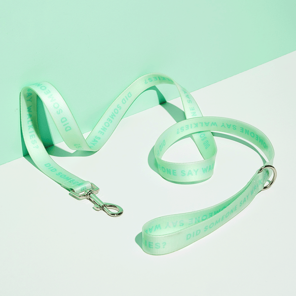 Slick Dog Lead - Mint