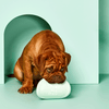 Silicone Frisbee - Mint