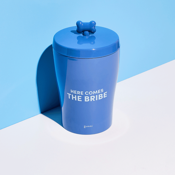Melamine Dog Treat Jar - Blue