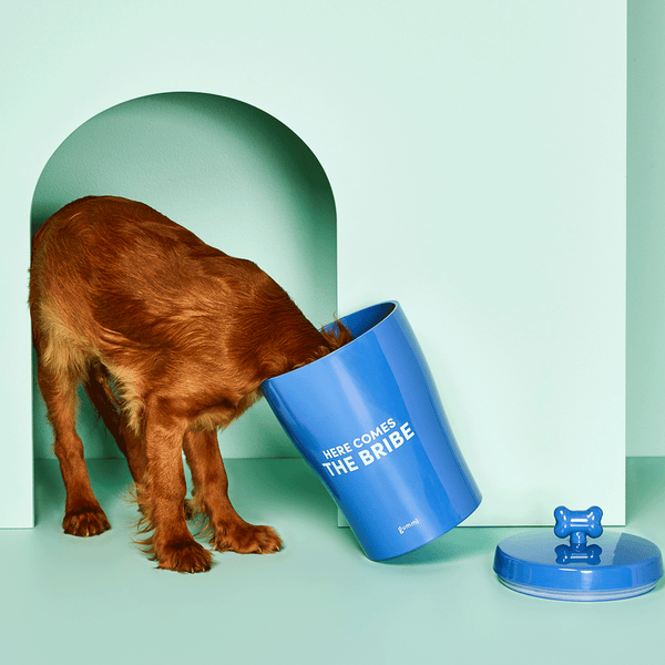 Melamine Dog Treat Jar - Blue