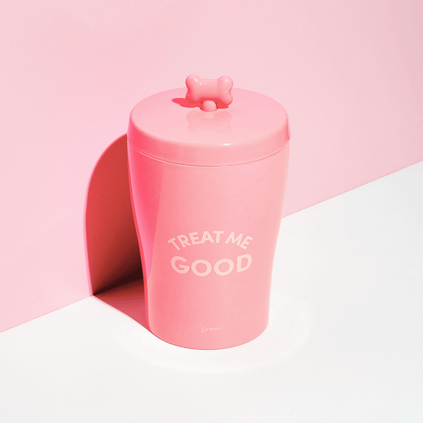Melamine Dog Treat Jar - Pink
