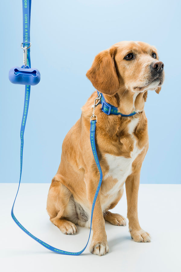 Slick Dog Lead - Blue