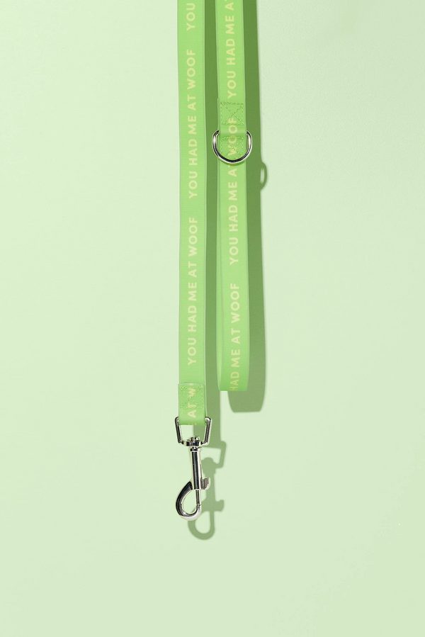 Slick Dog Lead - Green
