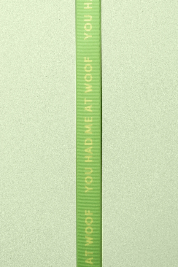 Slick Dog Lead - Green